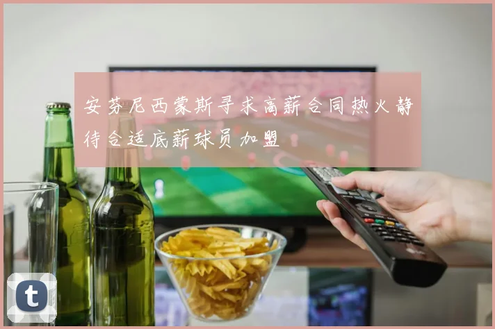 安芬尼西蒙斯寻求高薪合同热火静待合适底薪球员加盟